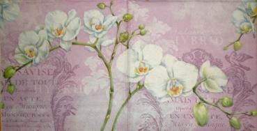 019 Orchids (19)